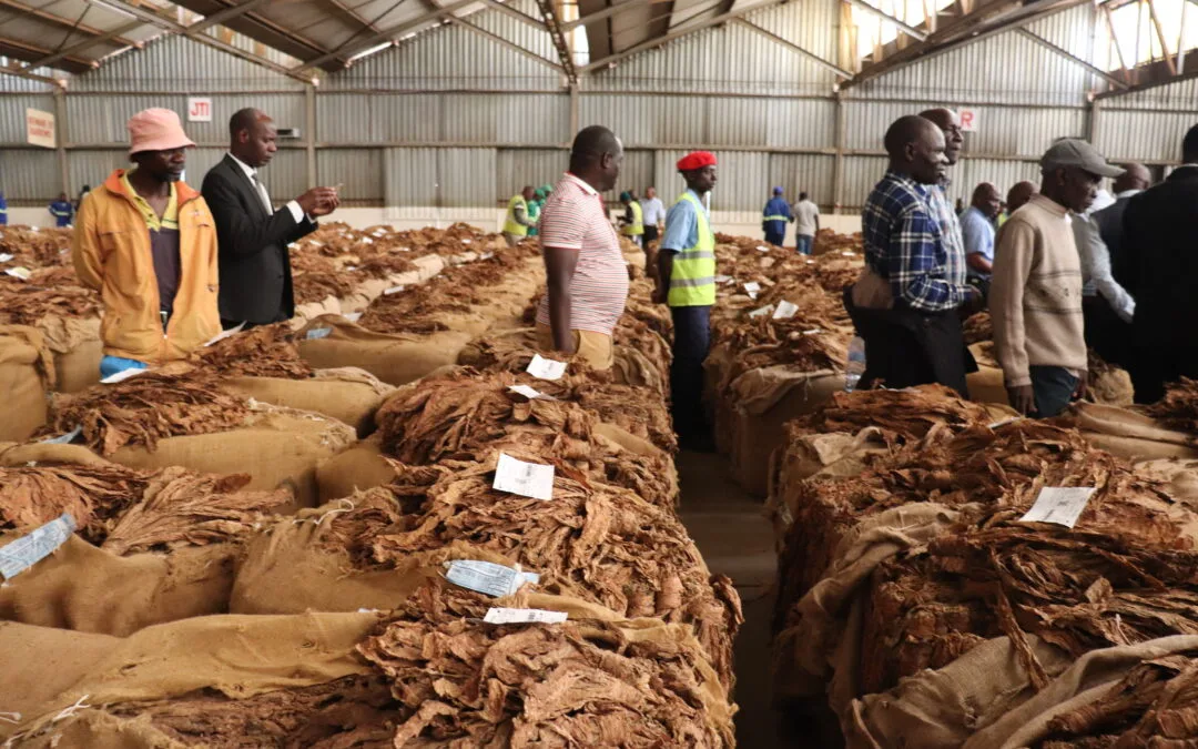 Grower licensing impressive
