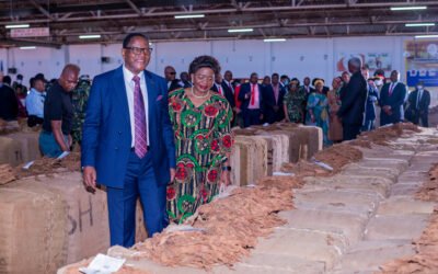 Tobacco Selling Season takes off