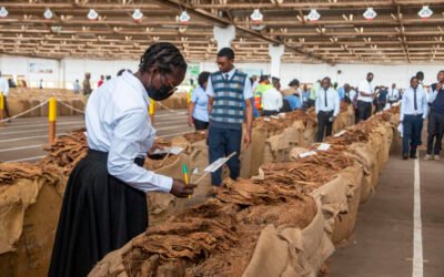 Commission cautions against nesting – severe punishment awaits