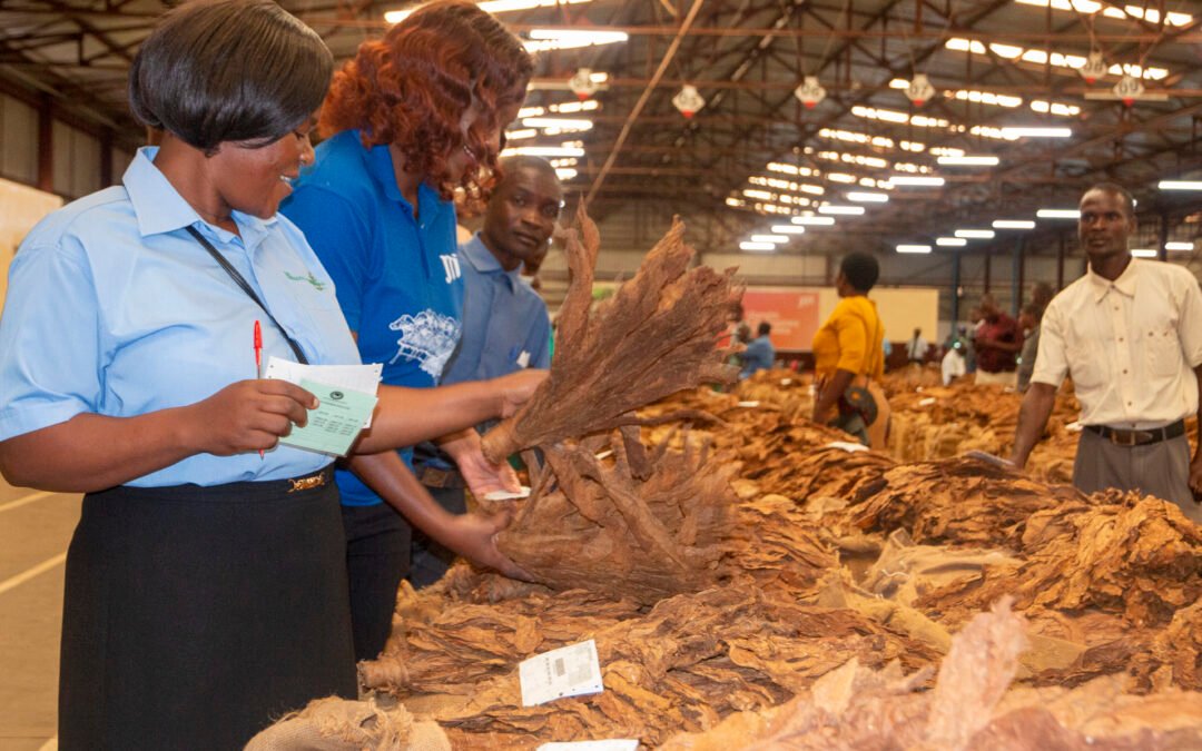Tobacco selling season extended